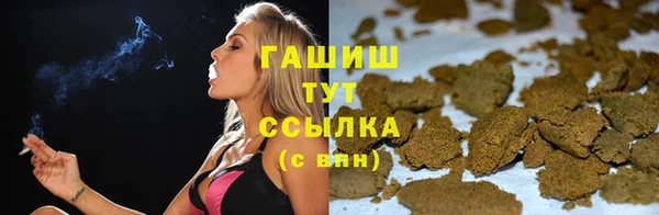 винт Тайга