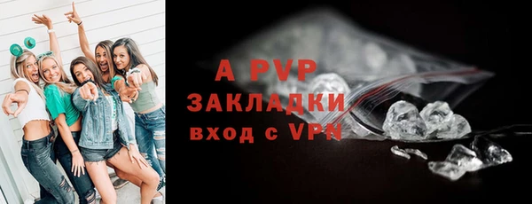 гашик Белокуриха