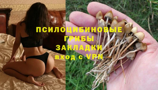 крисы Беломорск