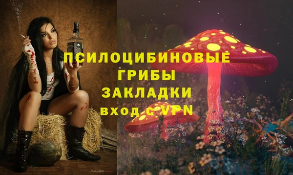 соль ск Белоозёрский