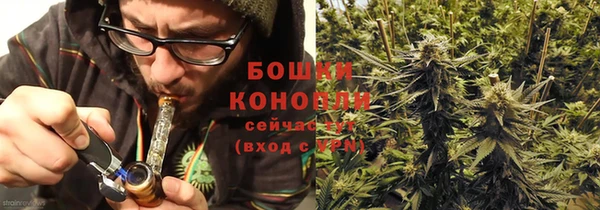 крисы Беломорск