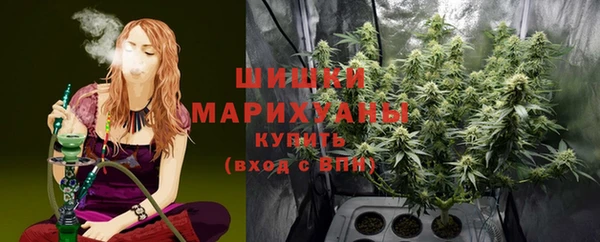 гашик Белокуриха
