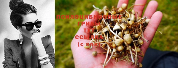соль ск Белоозёрский