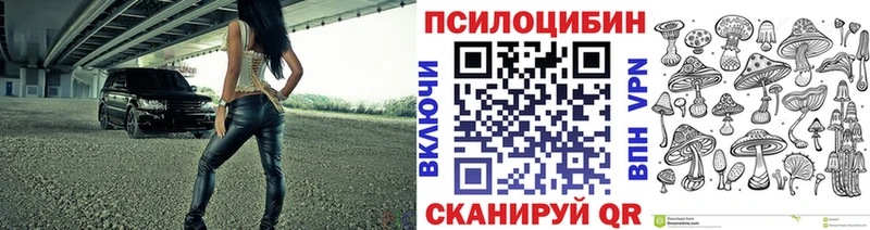 Псилоцибиновые грибы Psilocybe Вышний Волочёк